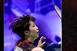 术的完美体 术的完美体